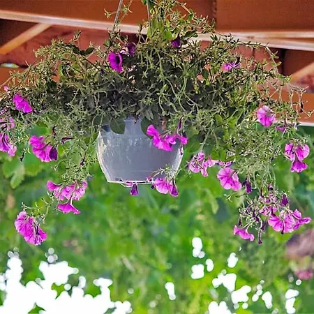 Hotel Kabak Misafir Evi *